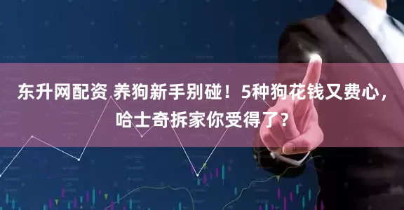 东升网配资 养狗新手别碰！5种狗花钱又费心，哈士奇拆家你受得了？
