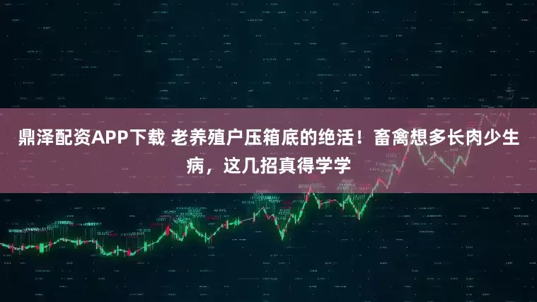 鼎泽配资APP下载 老养殖户压箱底的绝活！畜禽想多长肉少生病，这几招真得学学